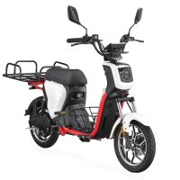 Электроскутер Skyboard Sevastopol 1800W Red