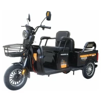 Электротрицикл Fududu Q2